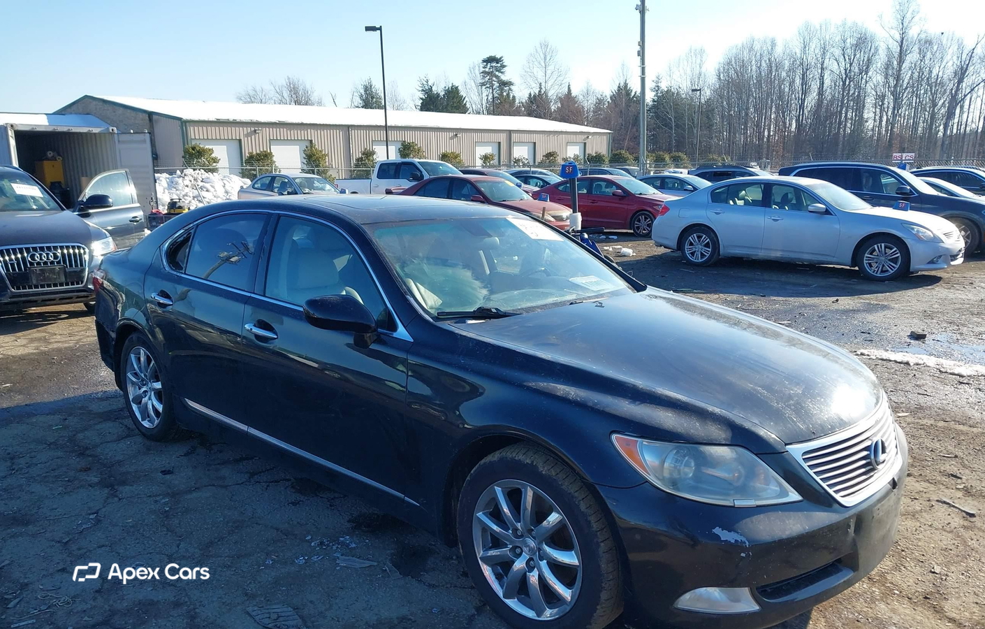 Lexus LS 2008