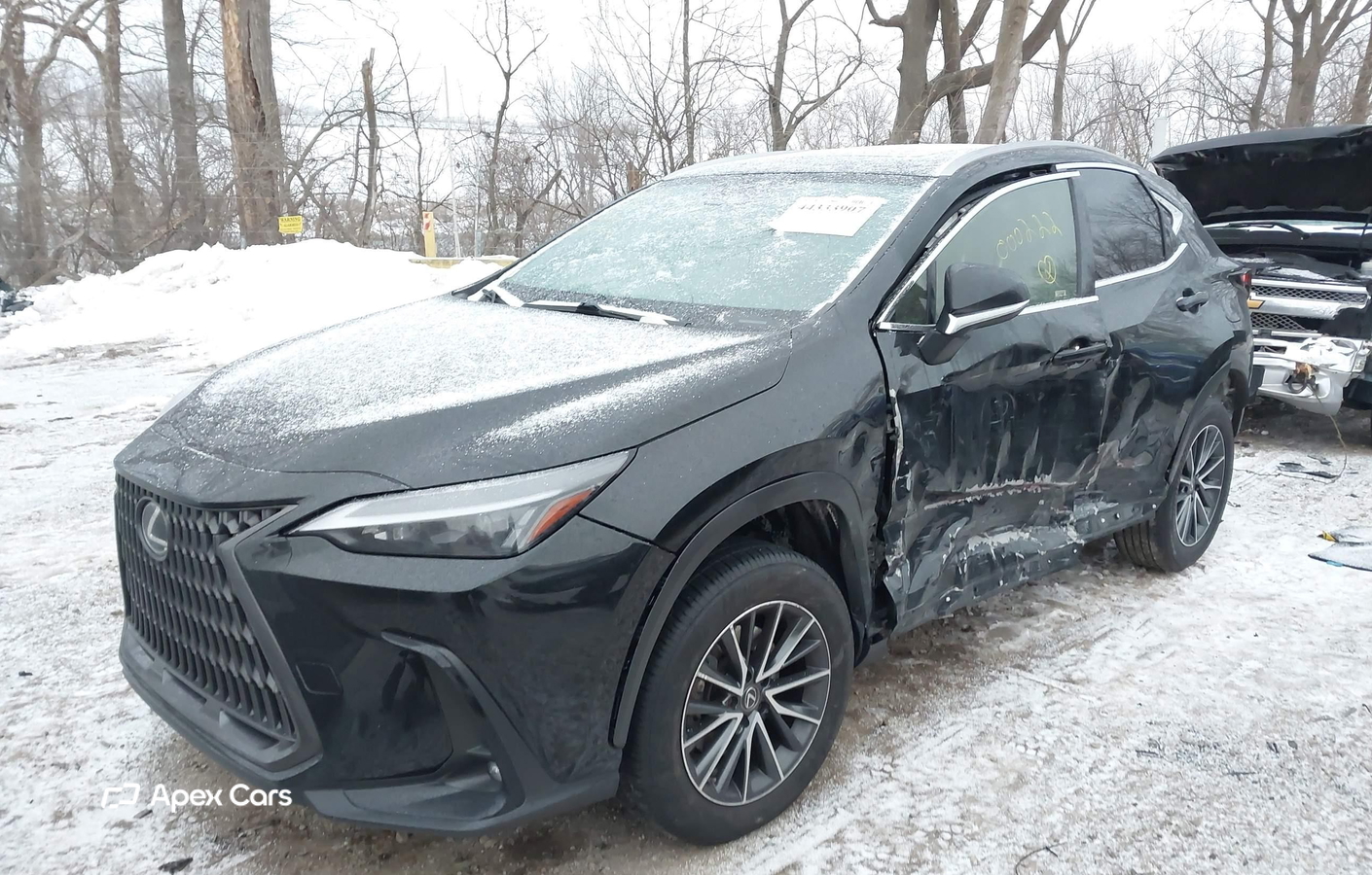 Lexus NX 2022