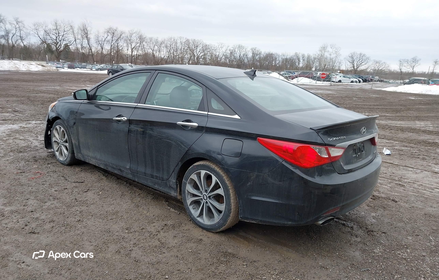 Hyundai Sonata 2013