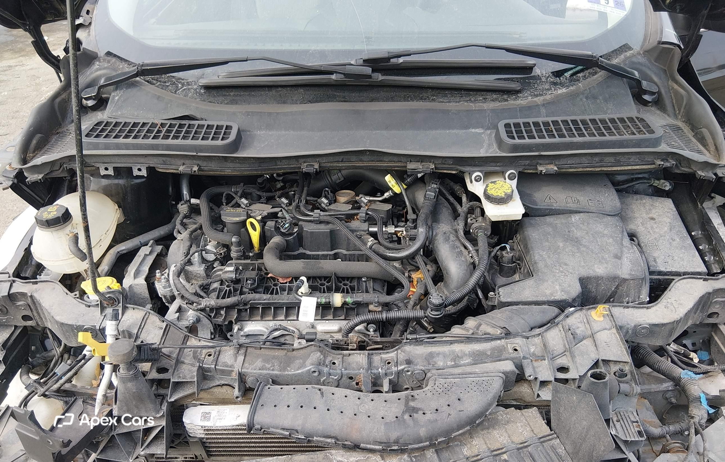 Ford Escape 2019