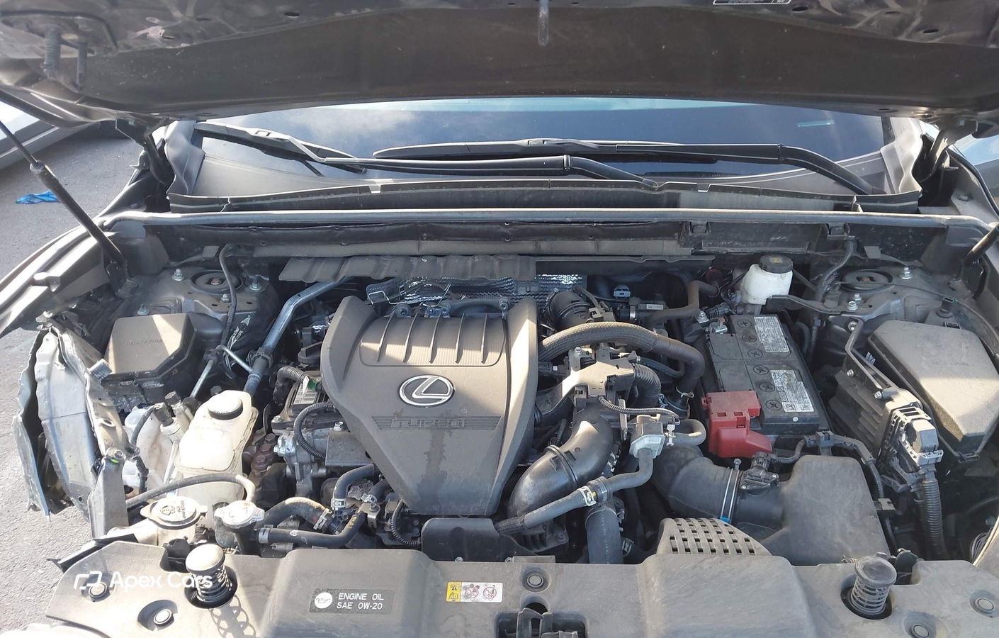Lexus NX 2024