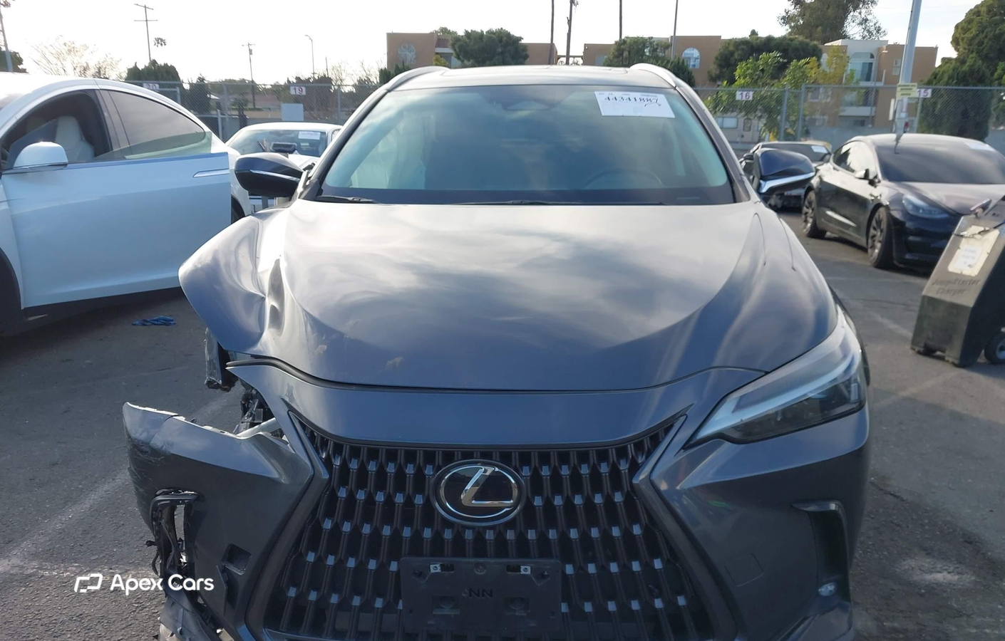 Lexus NX 2024