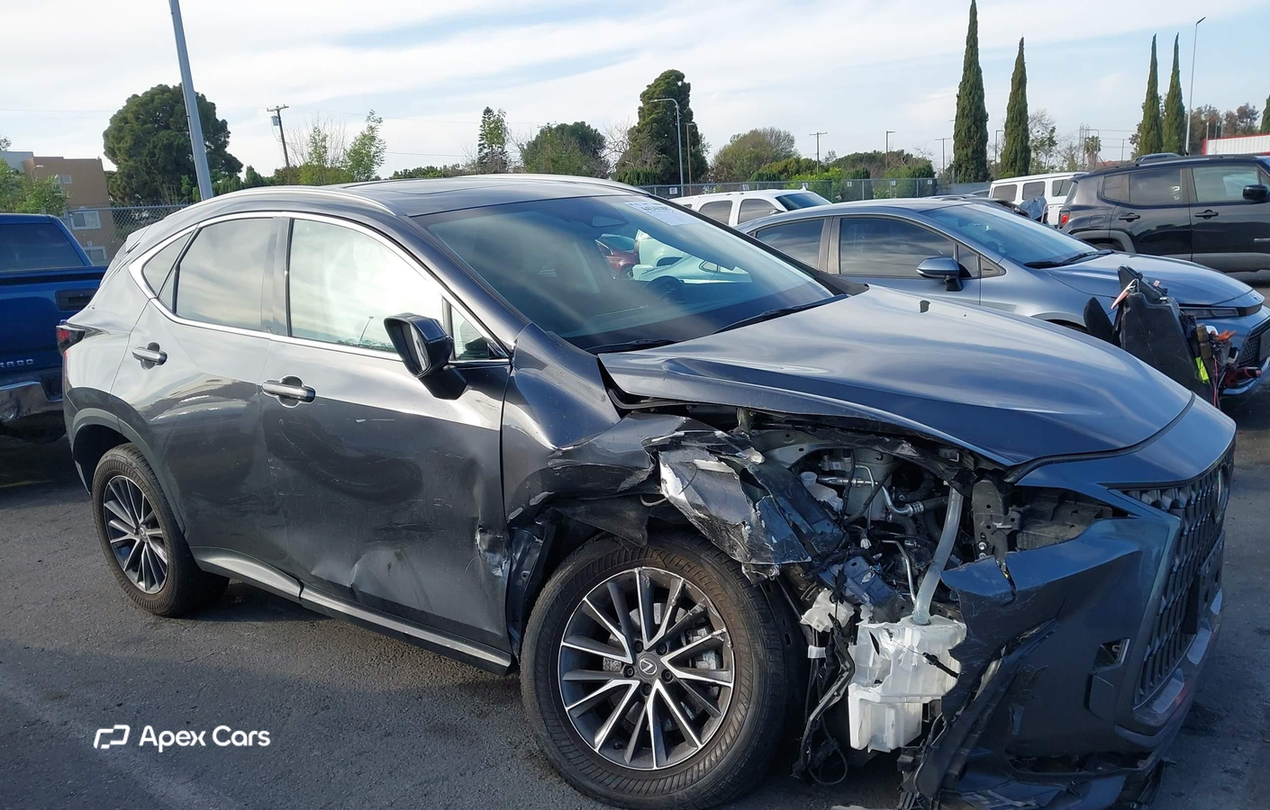 Lexus NX 2024