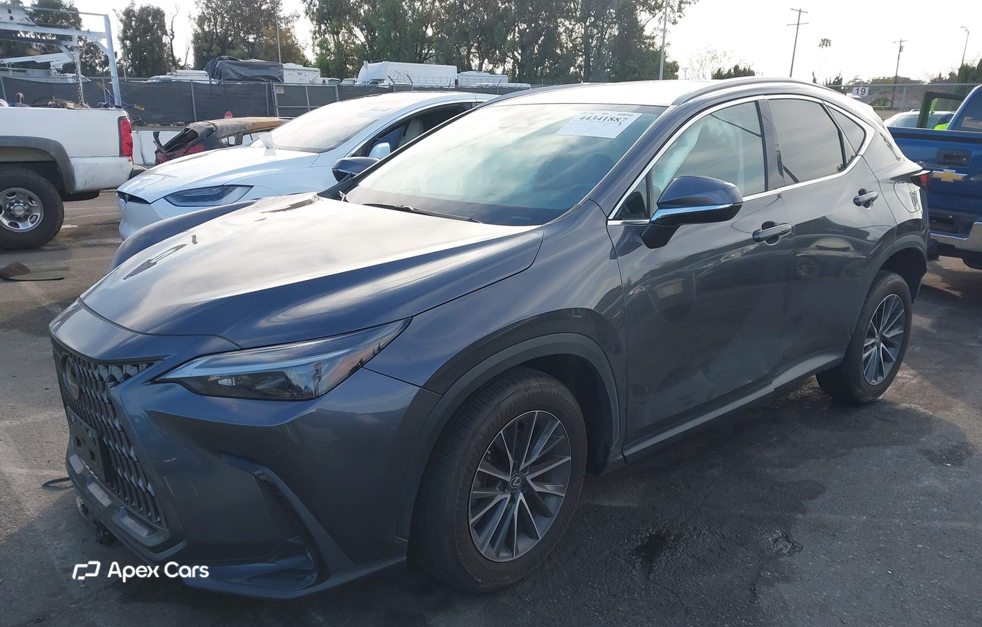 Lexus NX 2024
