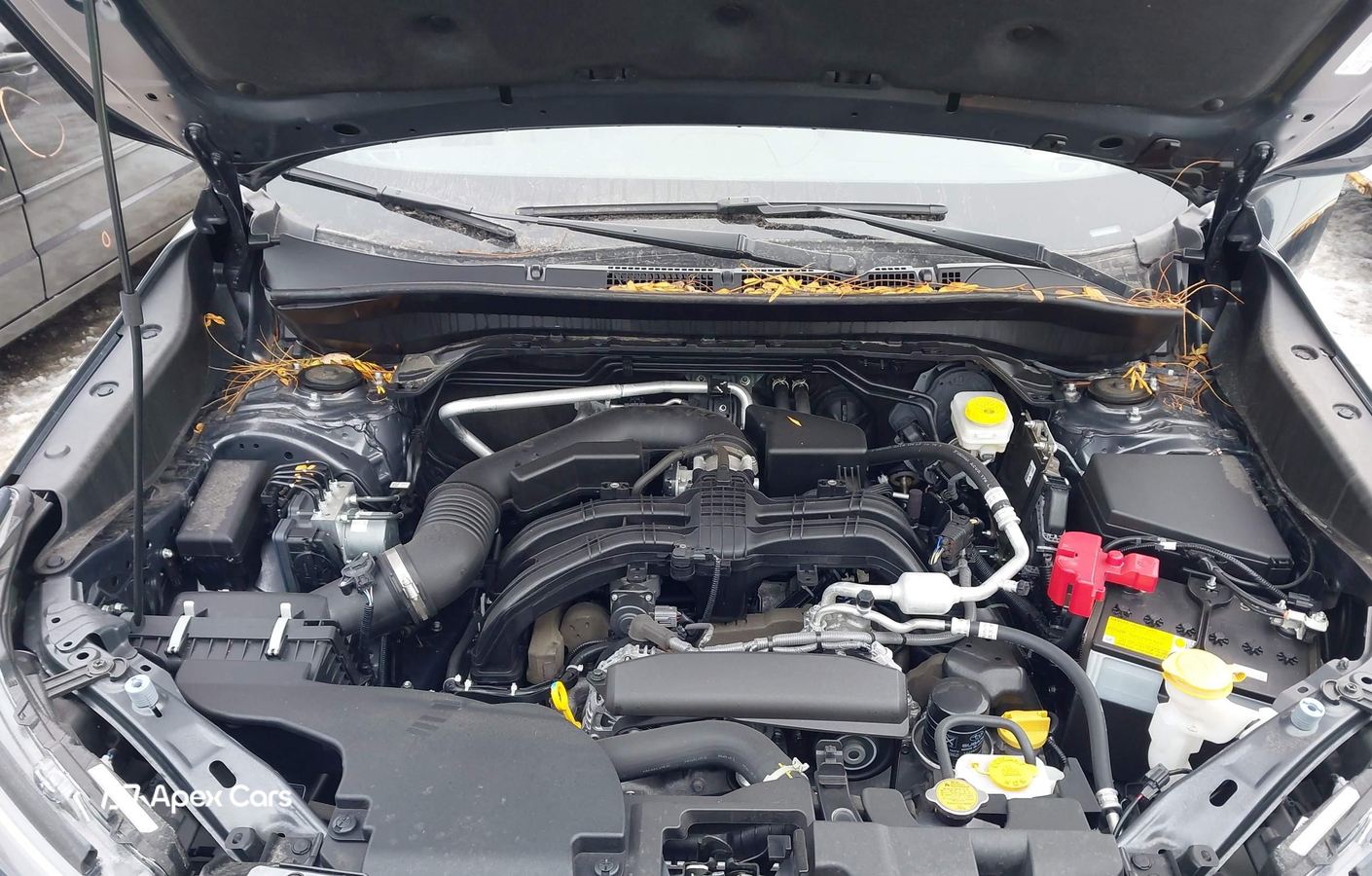 Subaru Forester 2025