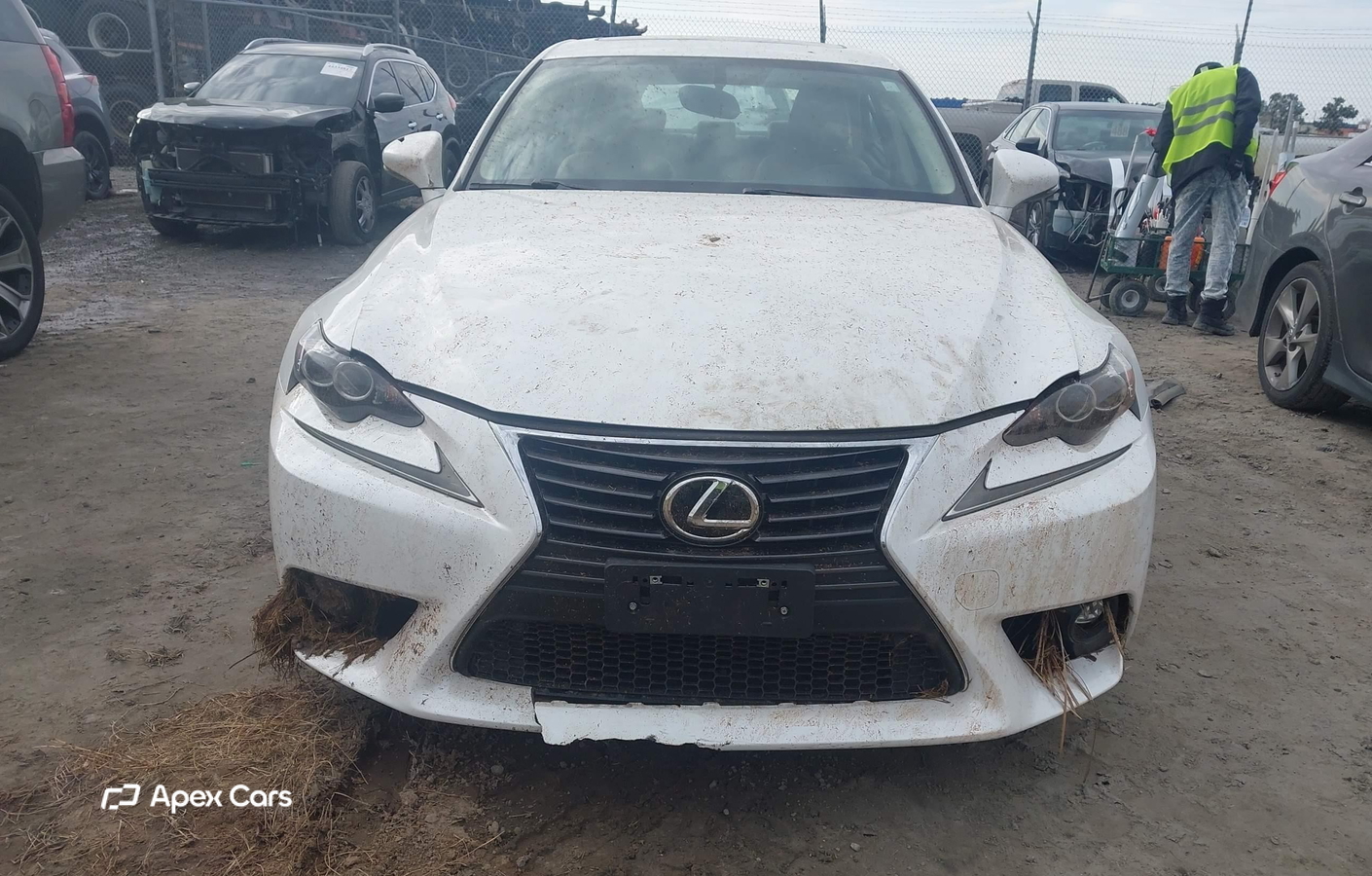 Lexus IS 2015