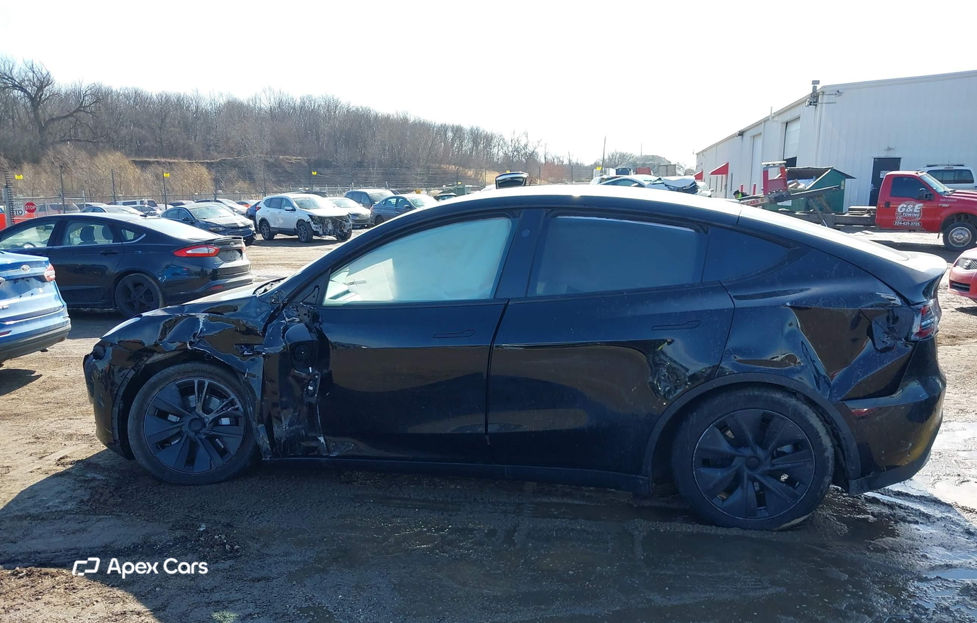 Tesla Model Y 2024