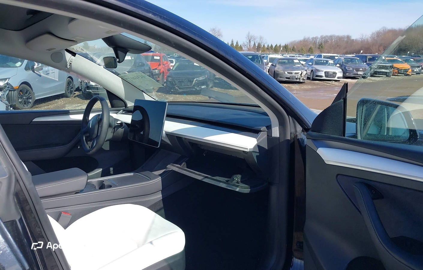Tesla Model Y 2024