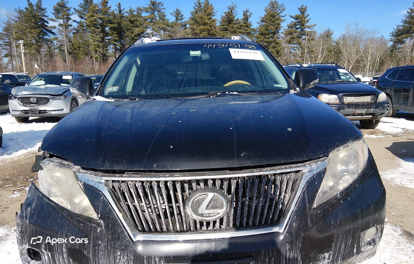 Lexus RX 2010
