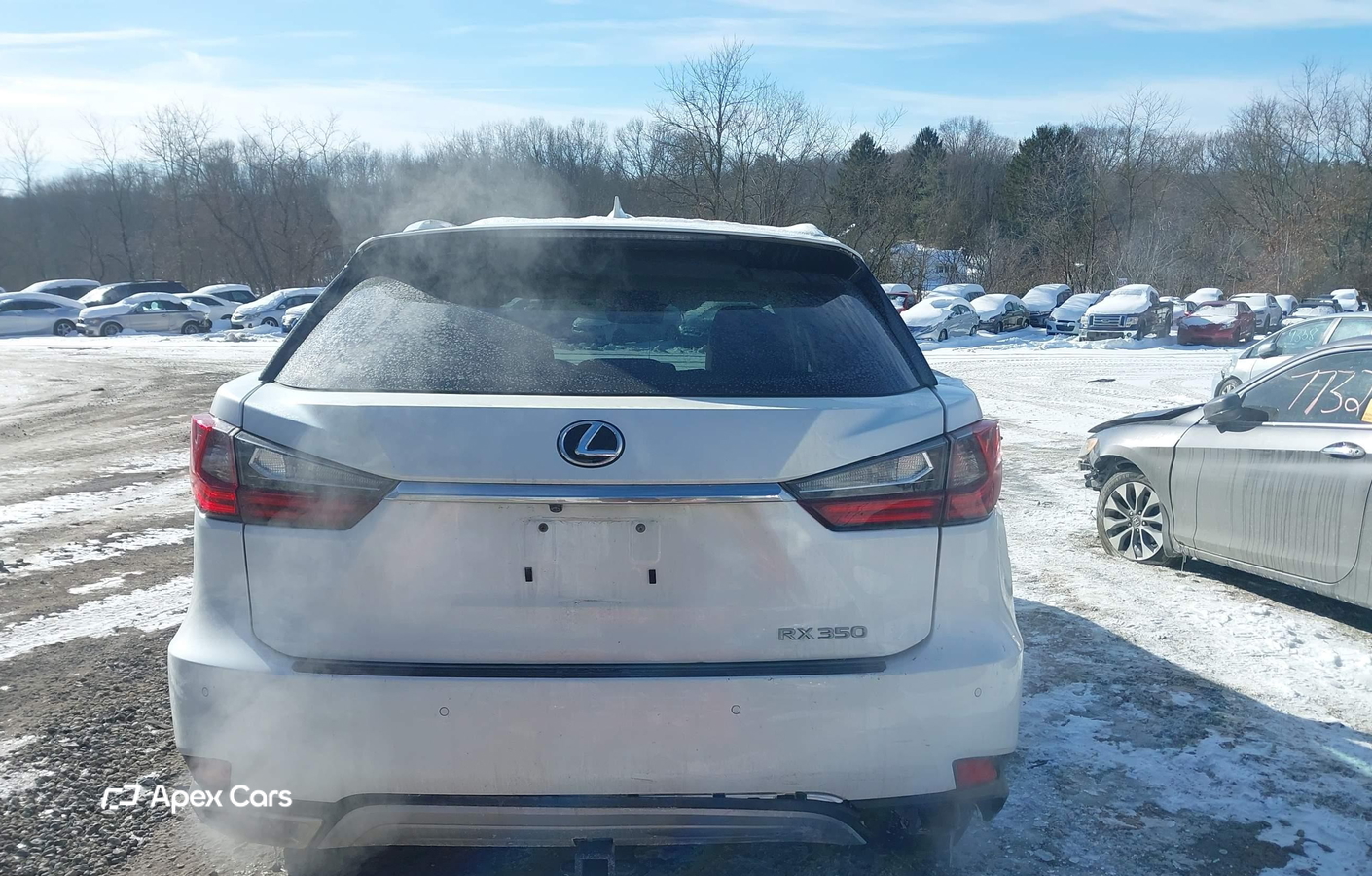 Lexus RX 2022