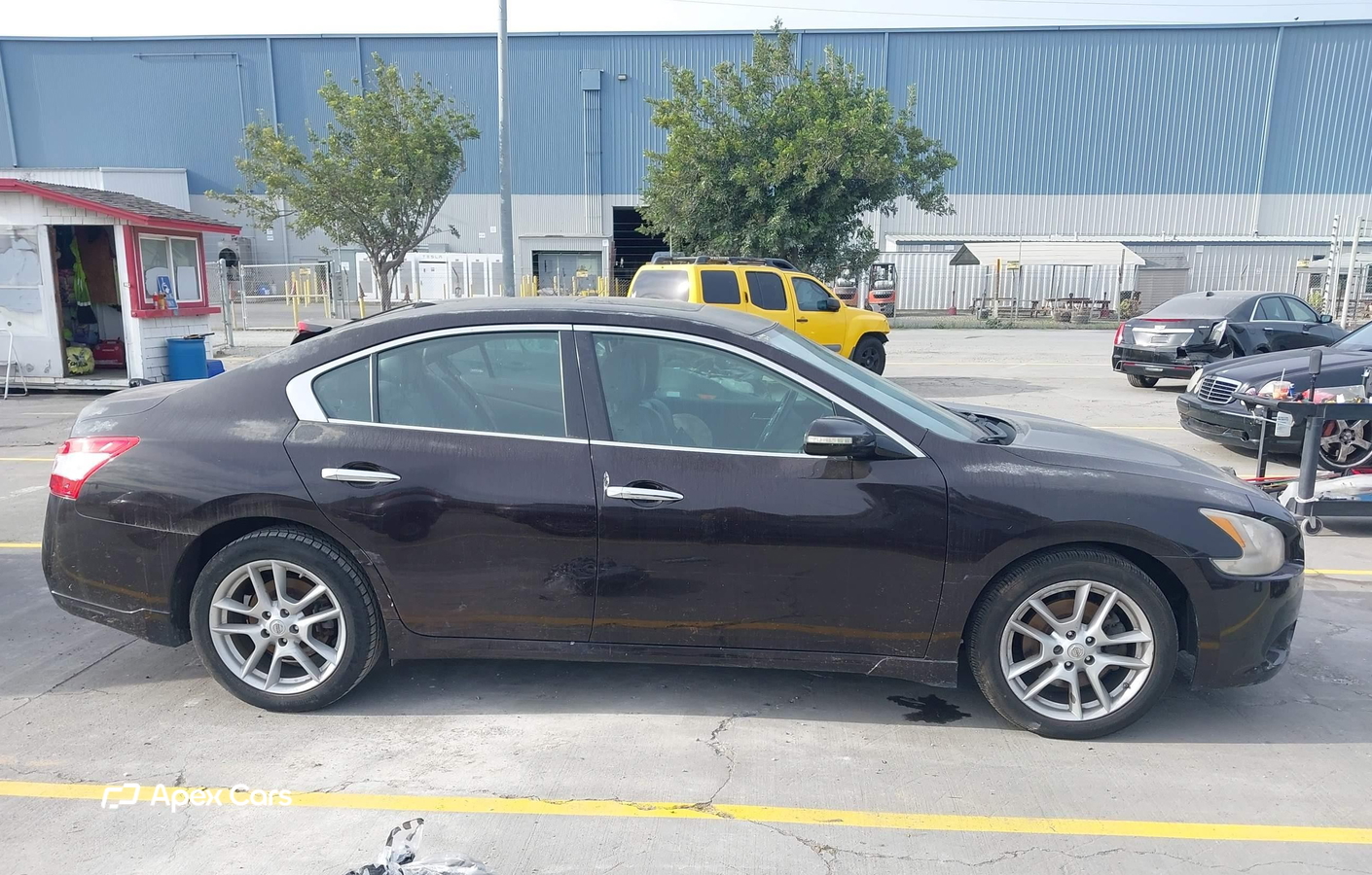 Nissan Maxima 2010