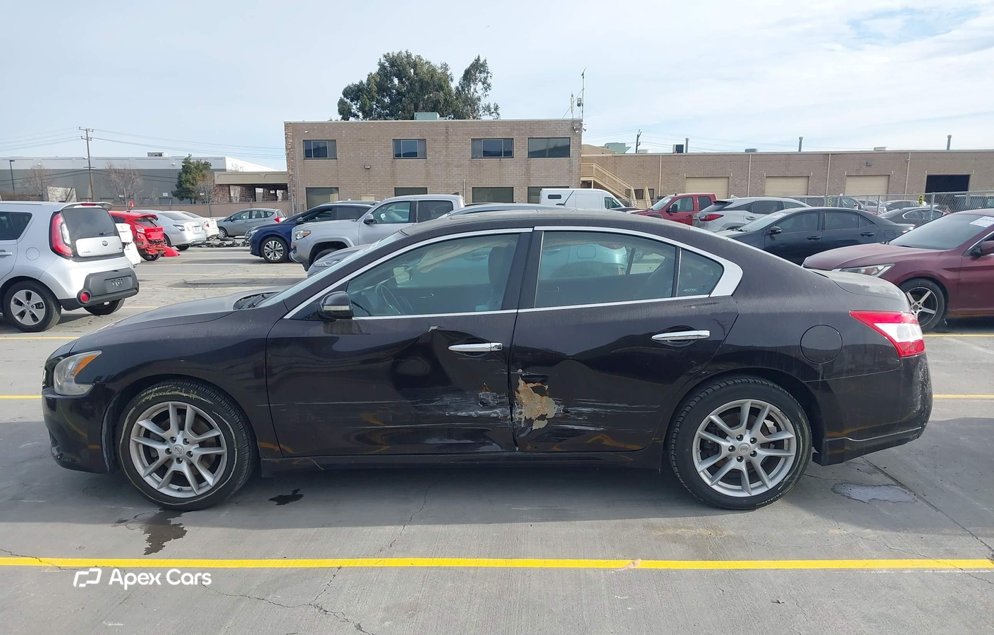 Nissan Maxima 2010