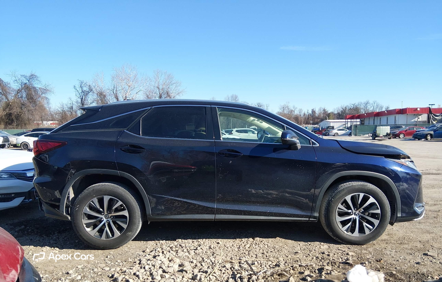 Lexus RX 2021