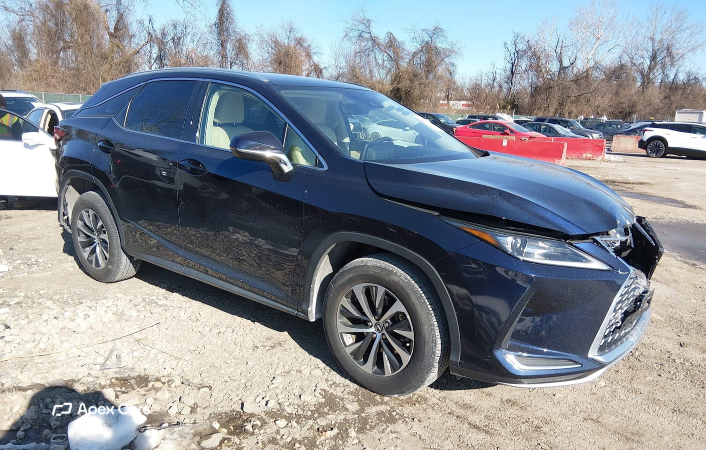 Lexus RX 2021