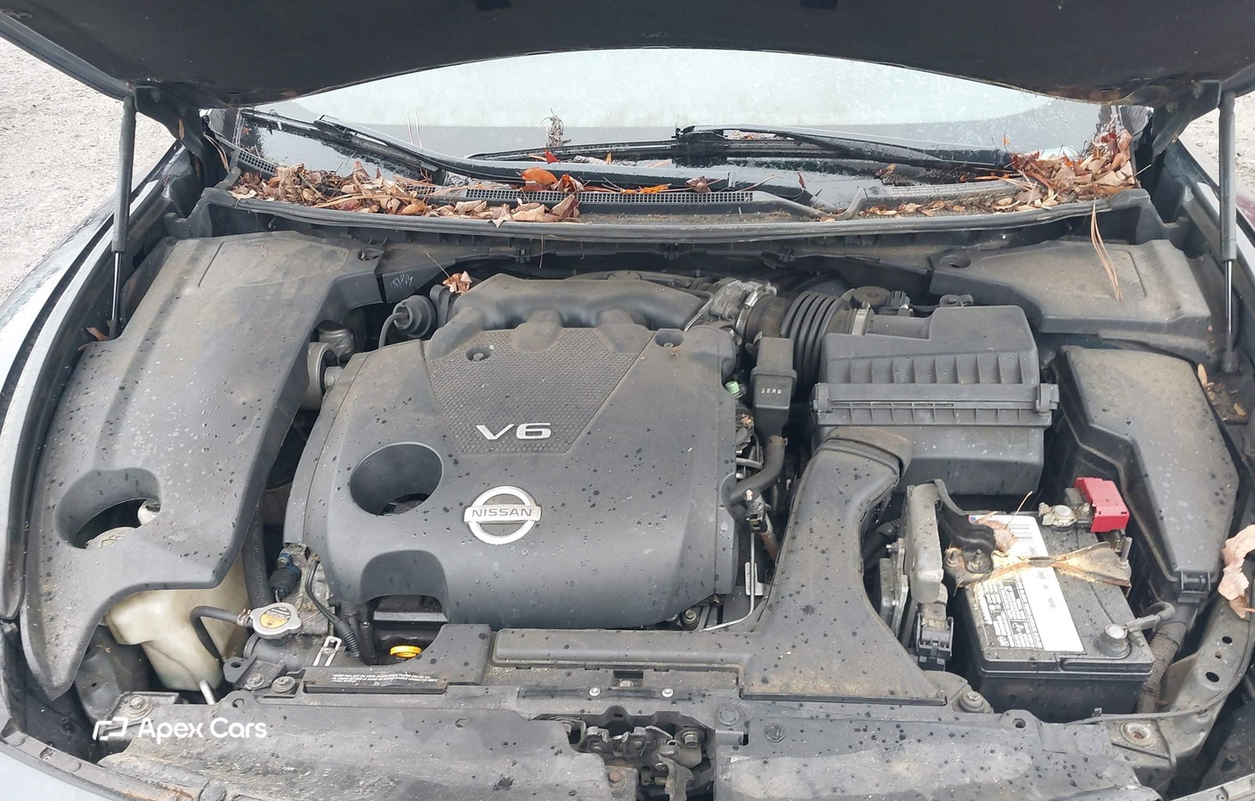 Nissan Maxima 2011