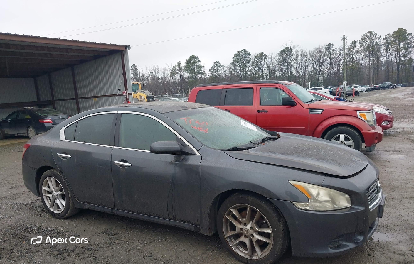 Nissan Maxima 2011