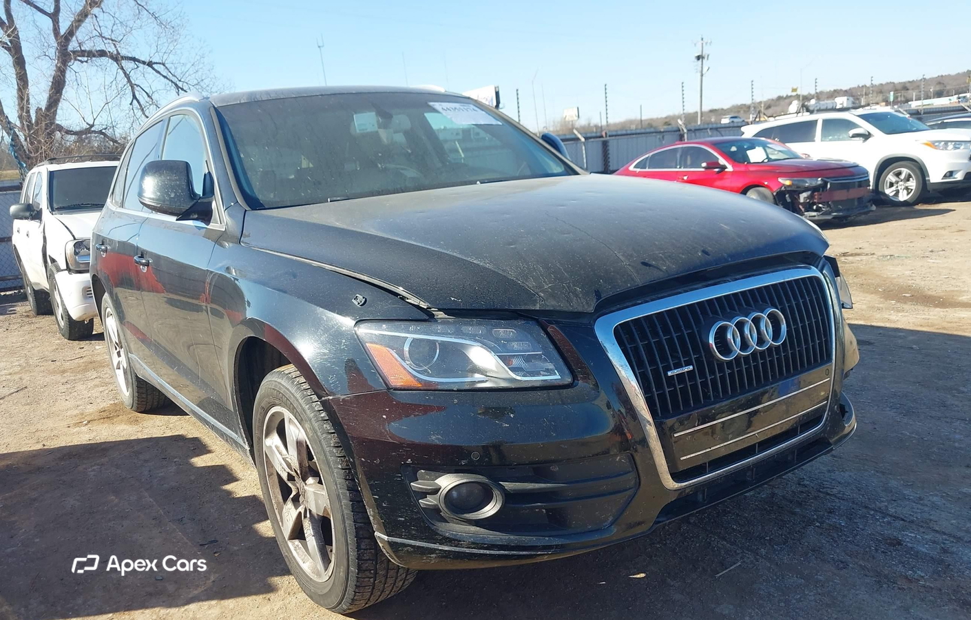 Audi Q5 2010
