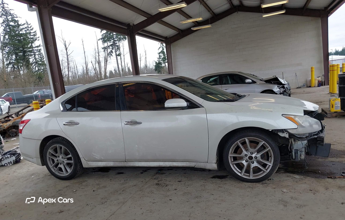 Nissan Maxima 2010