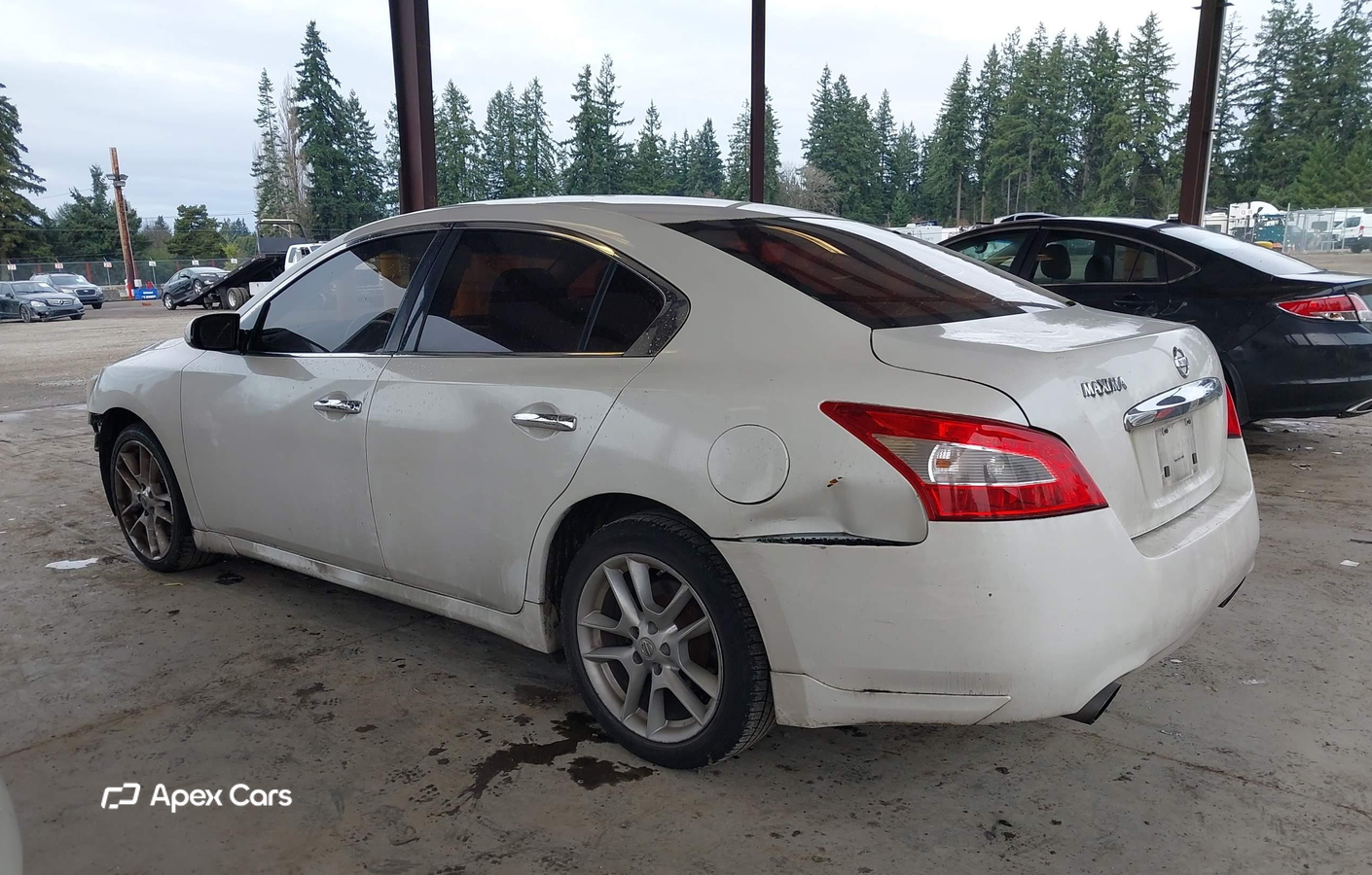 Nissan Maxima 2010