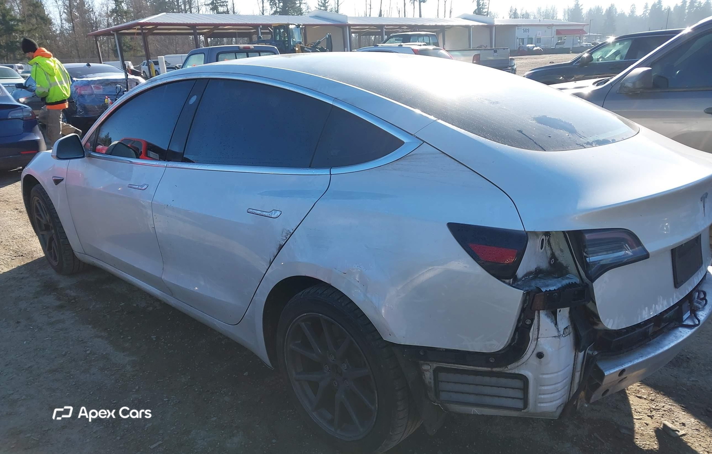 Tesla Model 3 2019