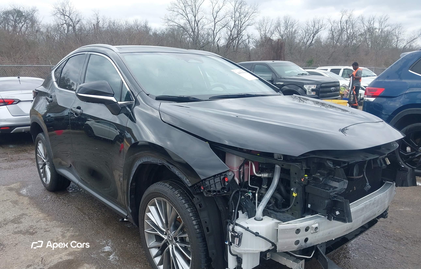 Lexus NX 2022