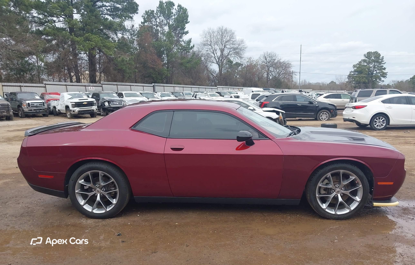 Dodge Challenger 2022