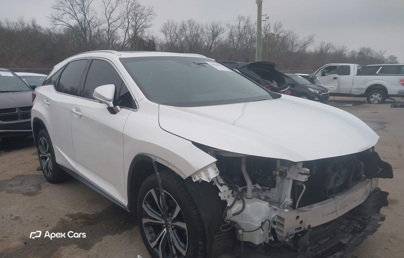 Lexus RX 2019