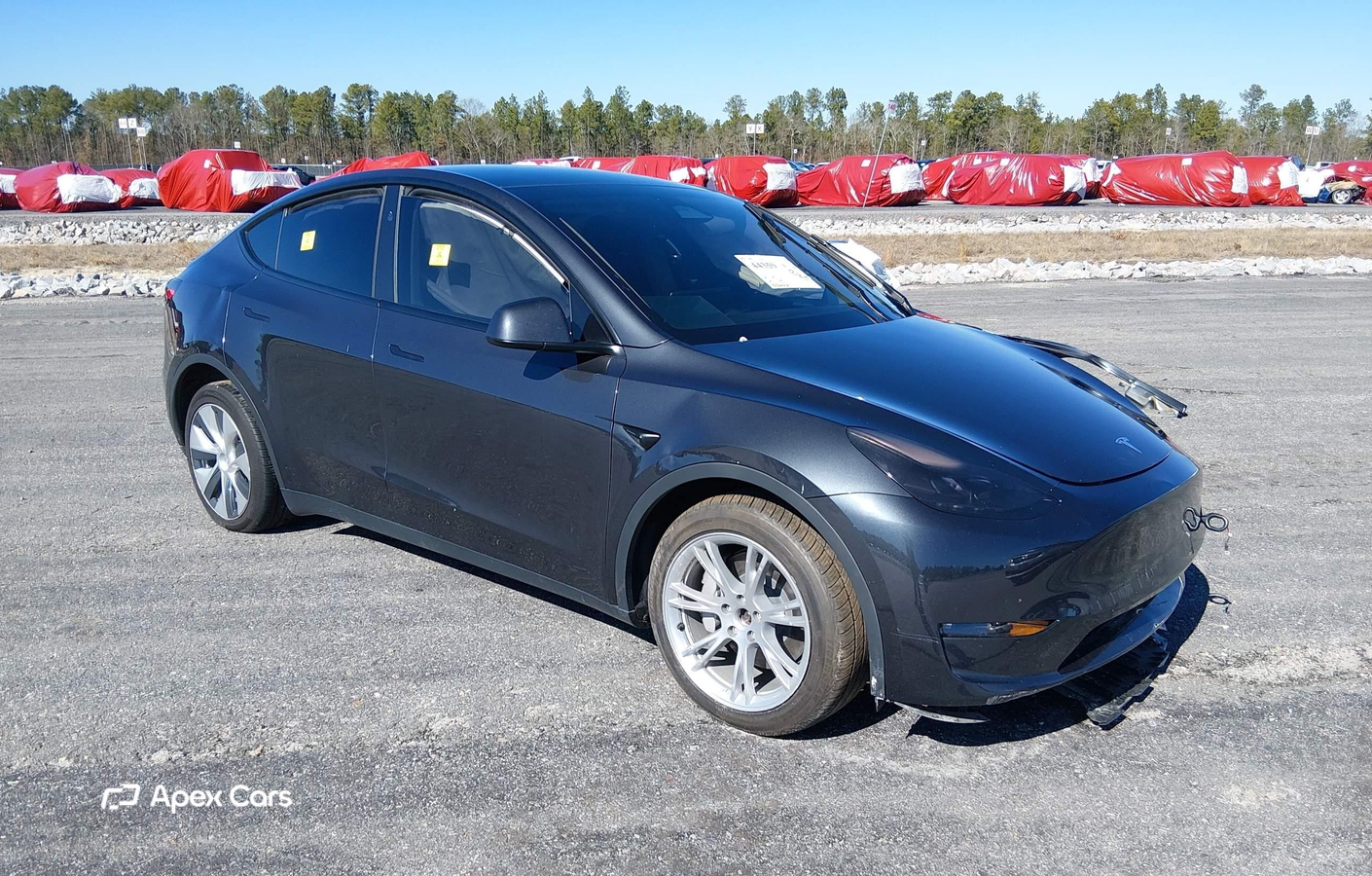 Tesla Model Y 2024