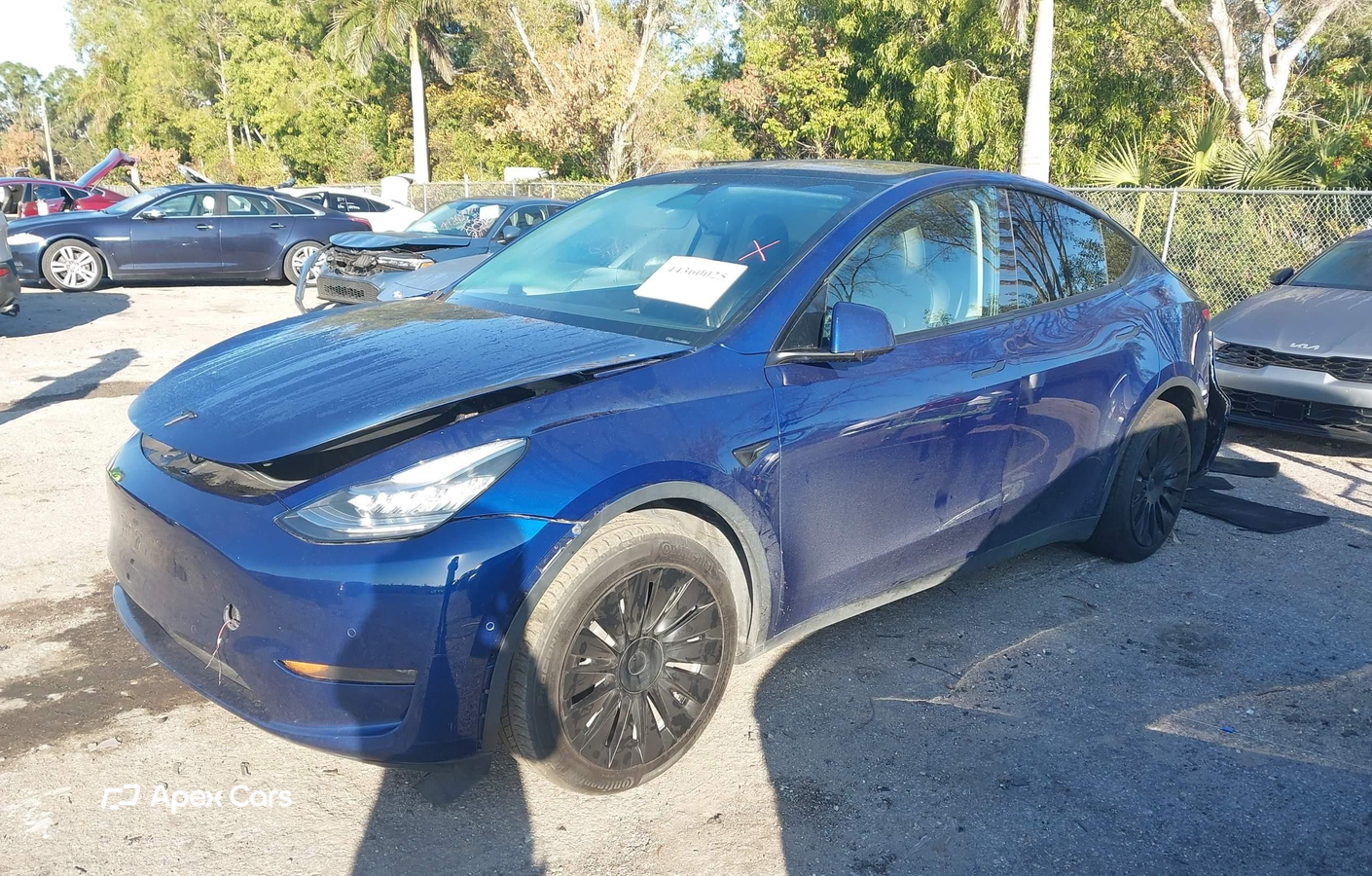 Tesla Model Y 2020