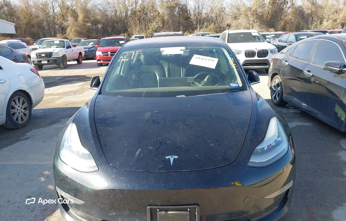 Tesla Model 3 2019