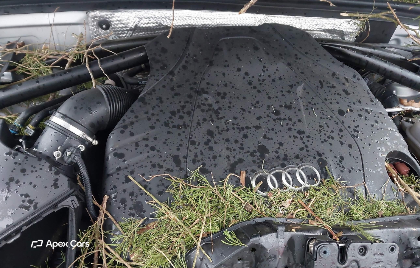 Audi Q5 2014