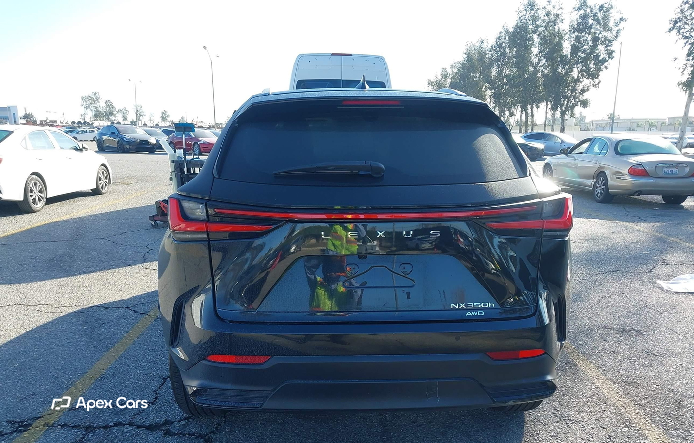 Lexus NX 2024