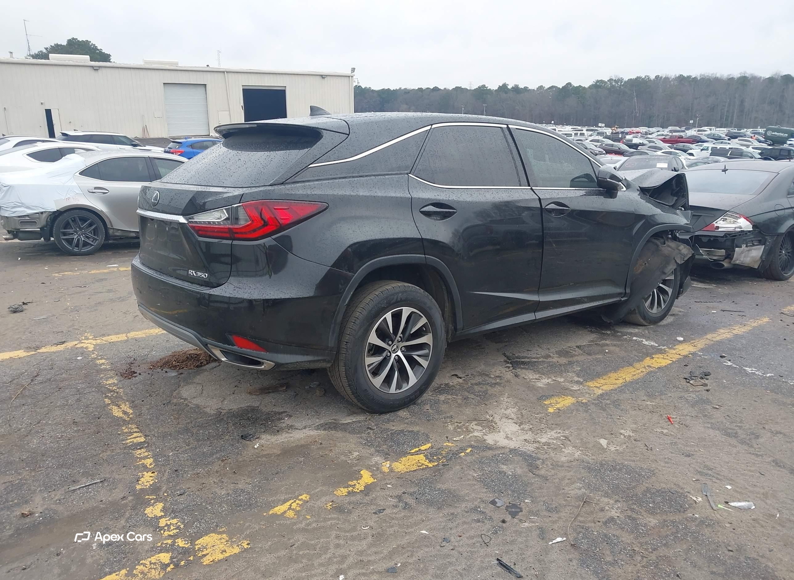 Lexus RX 2020