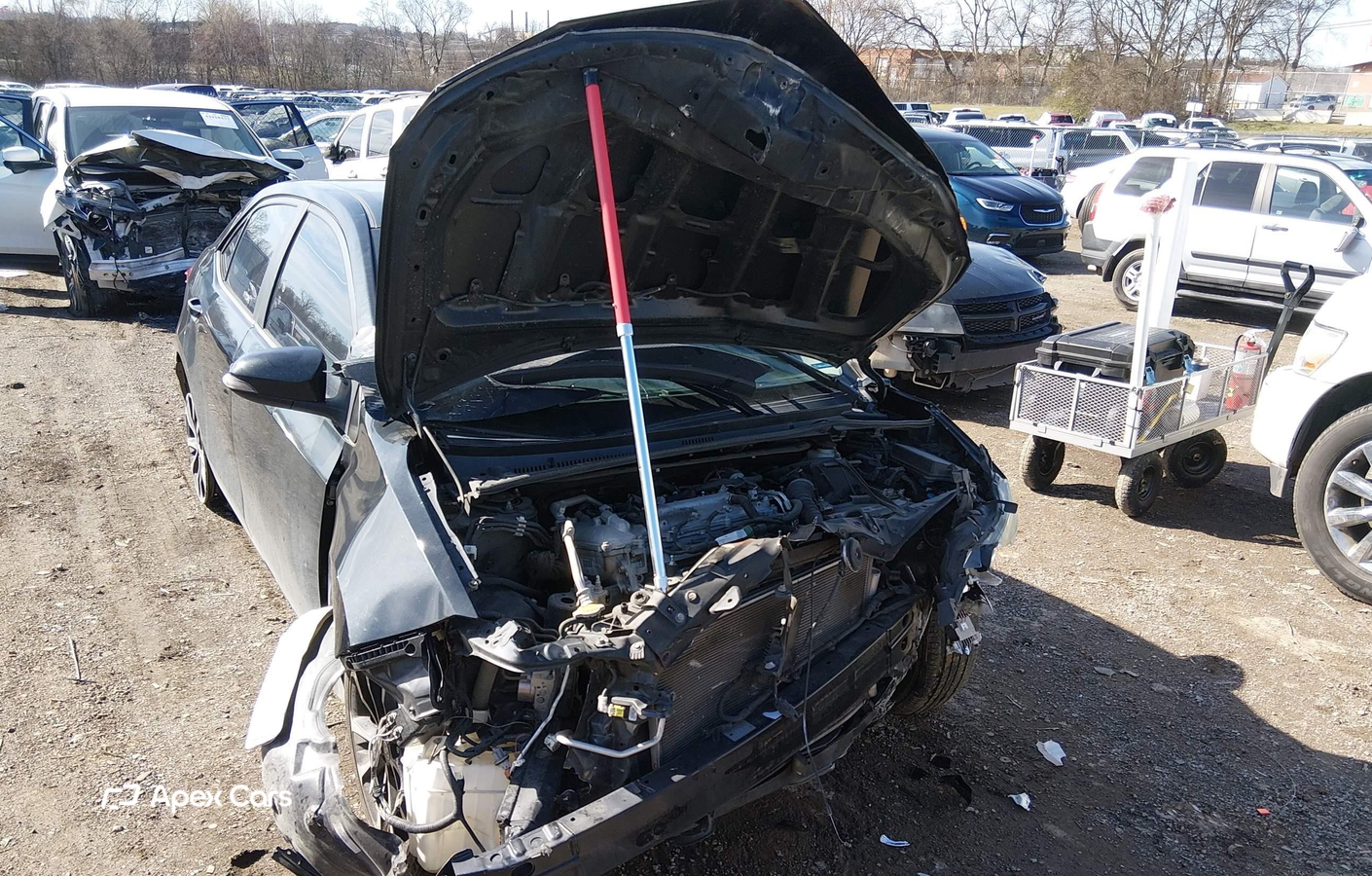 Toyota Corolla 2019