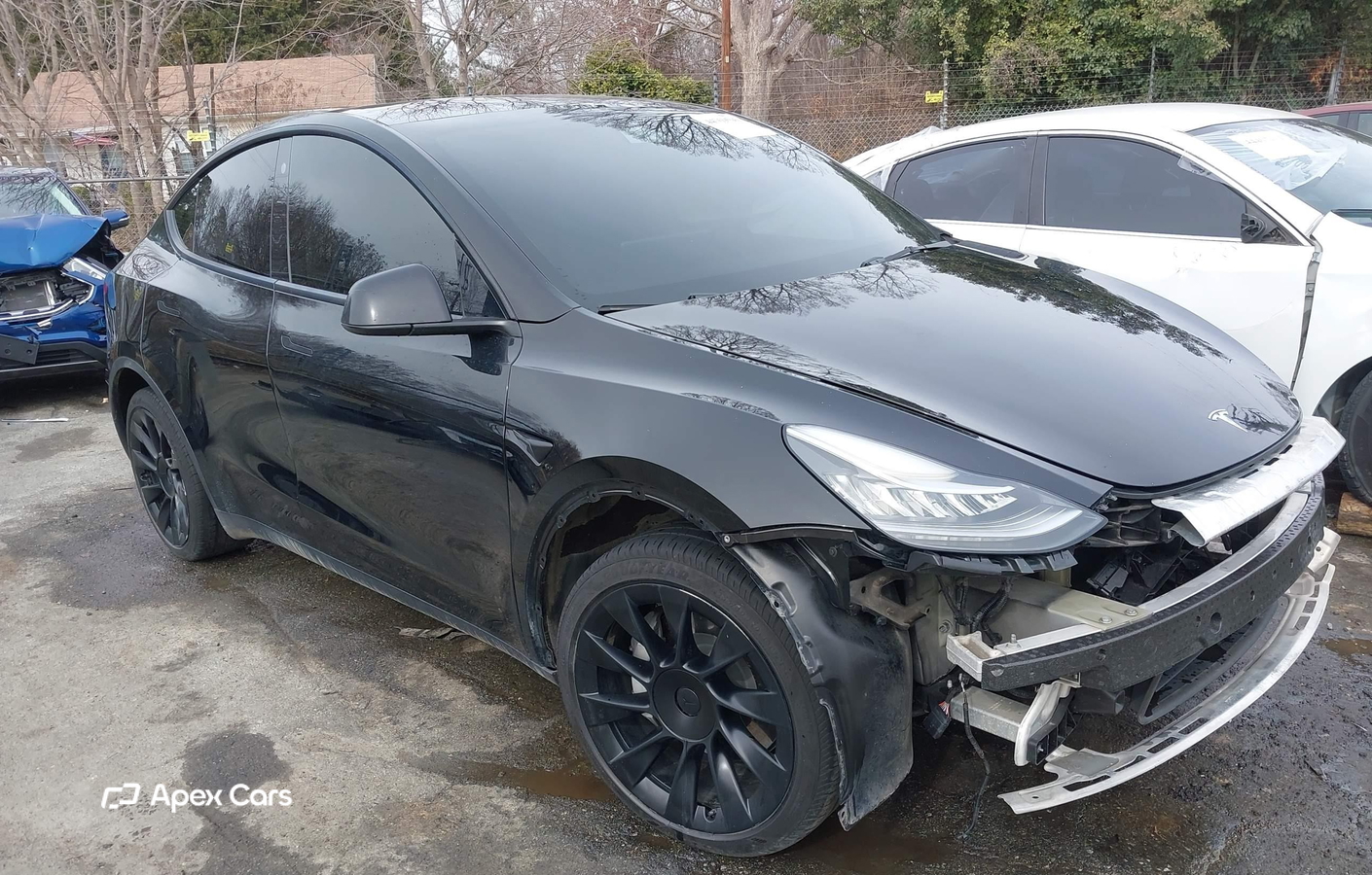 Tesla Model Y 2022