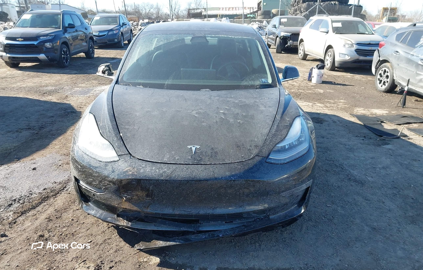 Tesla Model 3 2019