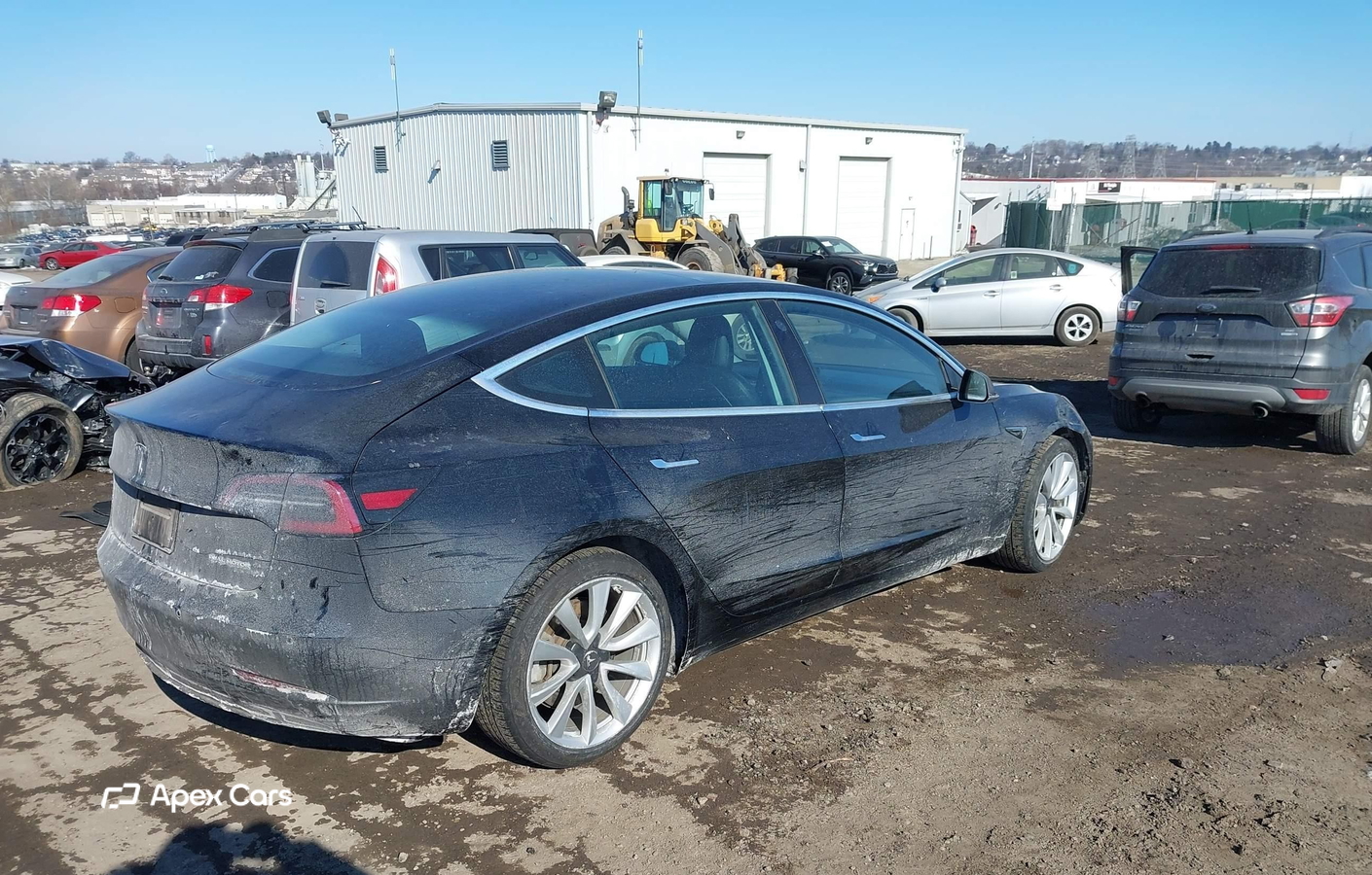 Tesla Model 3 2019