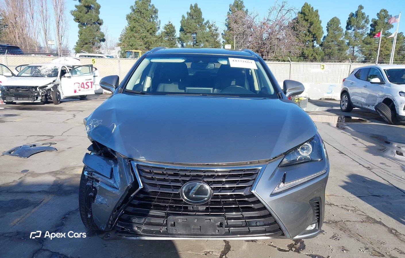 Lexus NX 2019