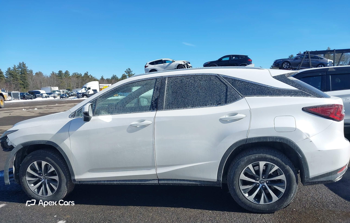 Lexus RX 2021