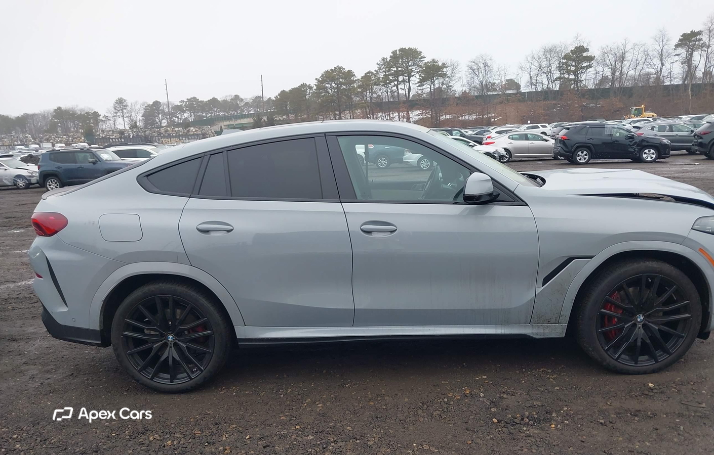 BMW X6 2025
