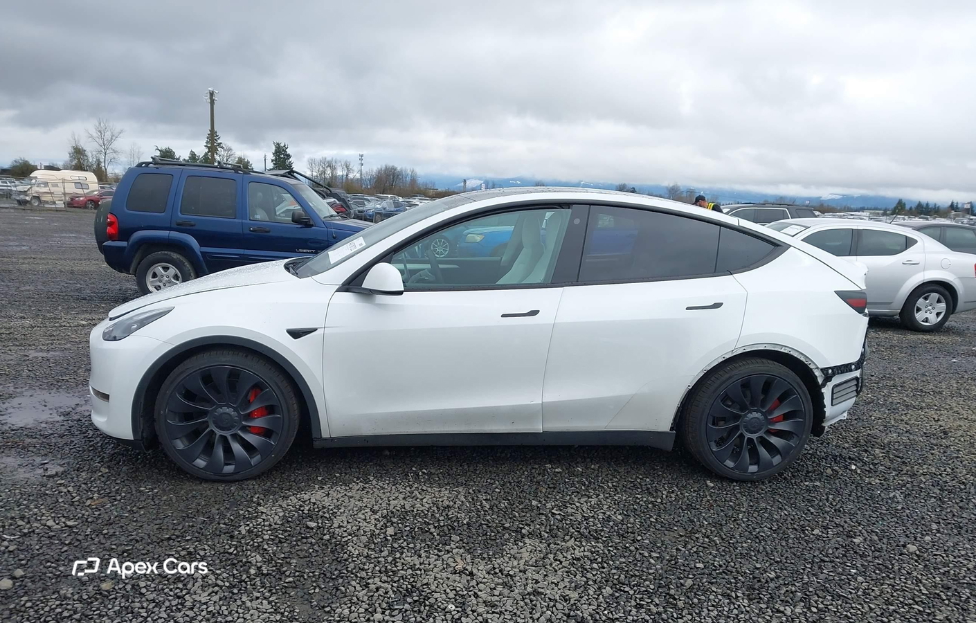 Tesla Model Y 2023