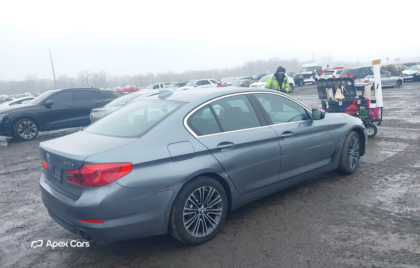 BMW Series 5 2019