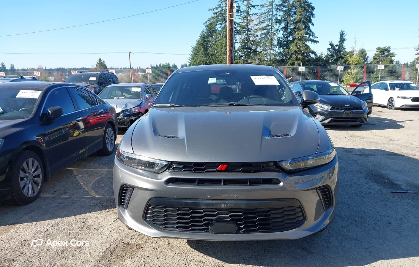 Dodge Hornet 2024