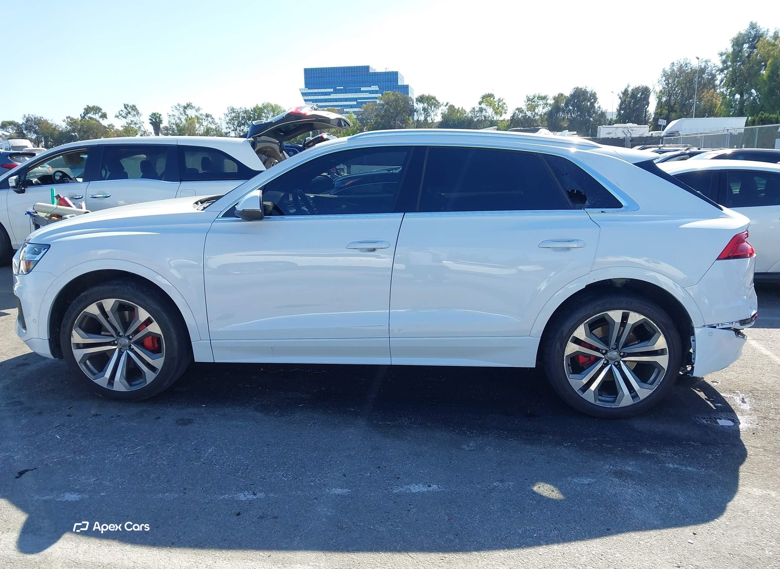 Audi Q8 2019