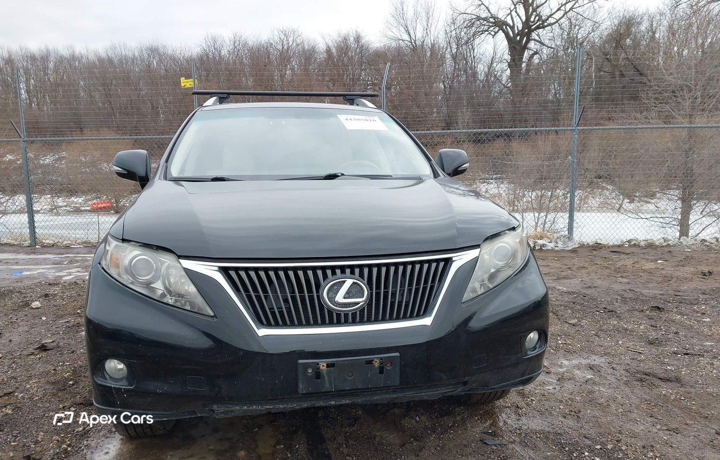 Lexus RX 2010