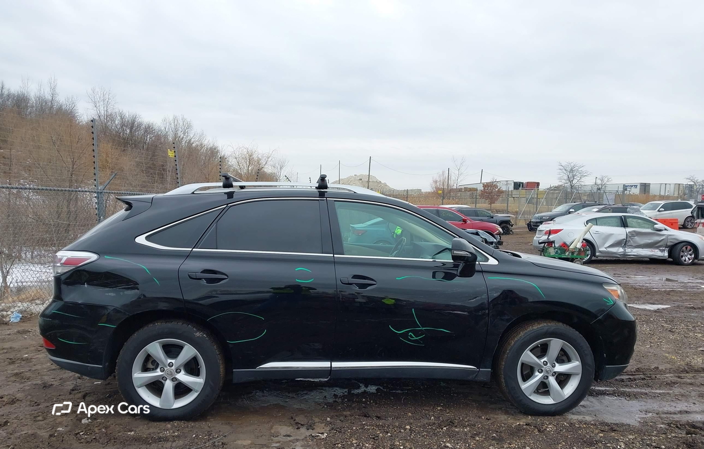 Lexus RX 2010