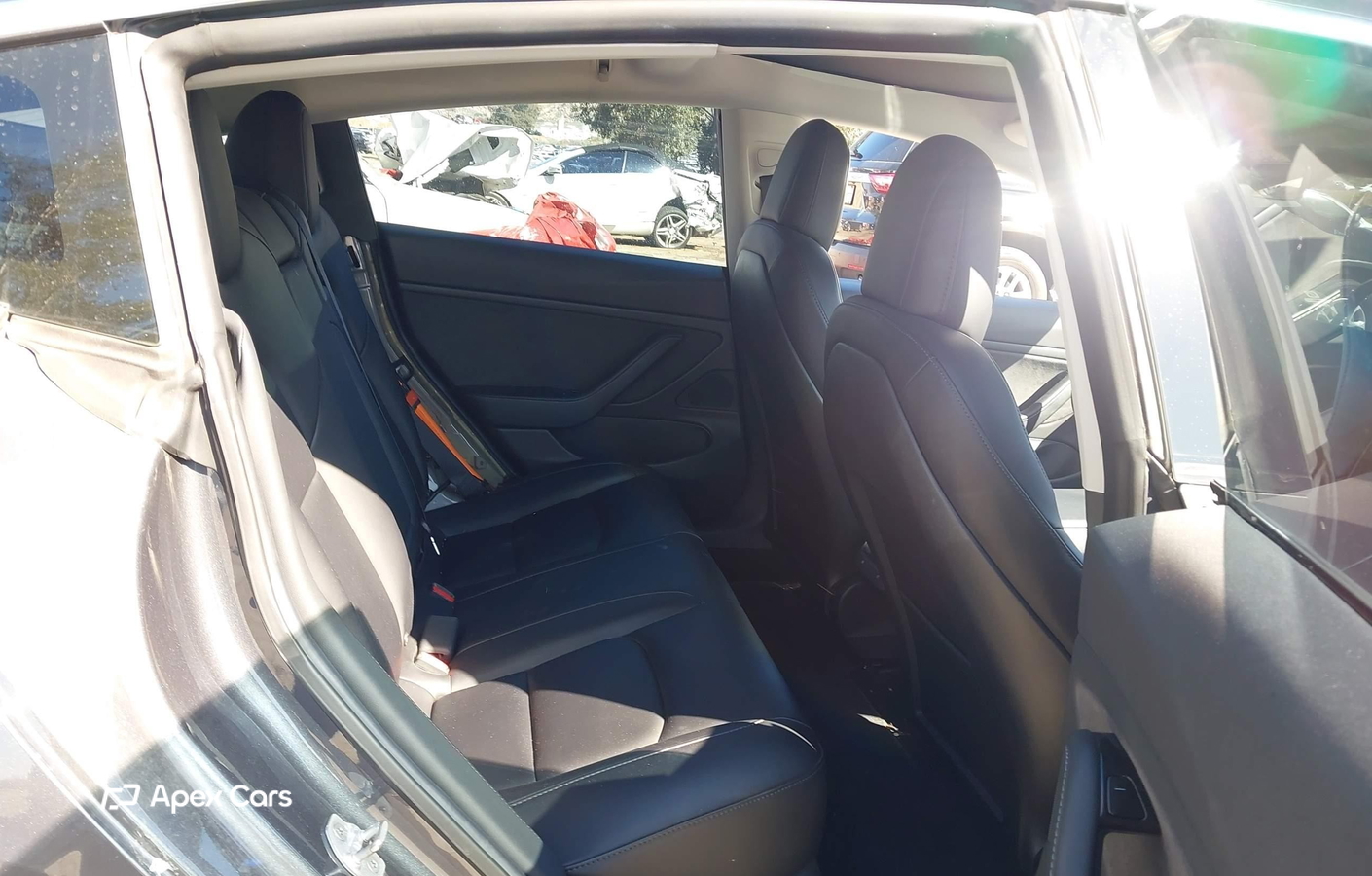Tesla Model 3 2019