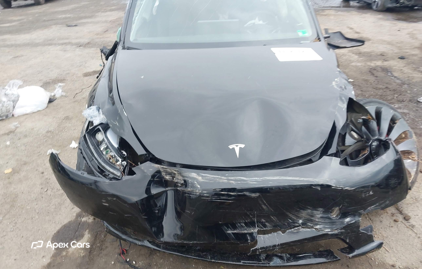 Tesla Model Y 2024