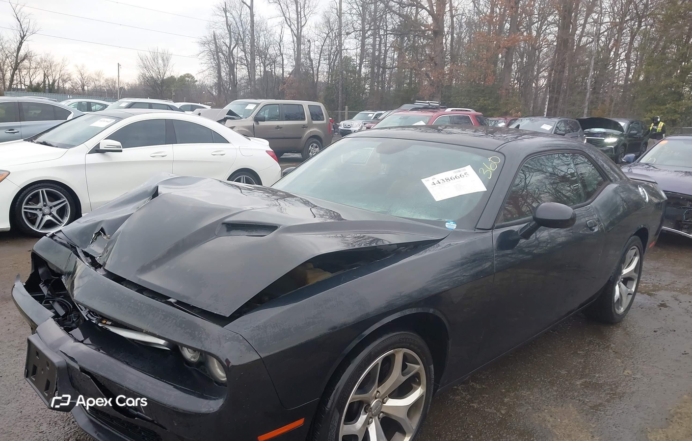 Dodge Challenger 2015