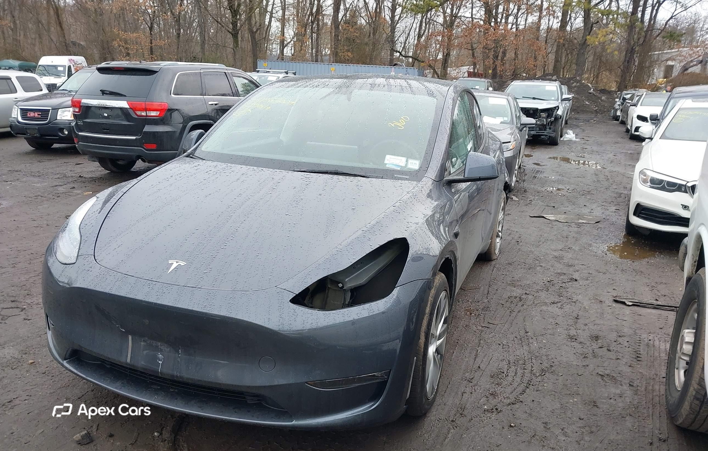 Tesla Model Y 2023